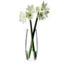 LSA / FLOWER GRAND STEM VASE LFW10 フラワー ベース(W16.5xD16.5xH41cm)箱入り