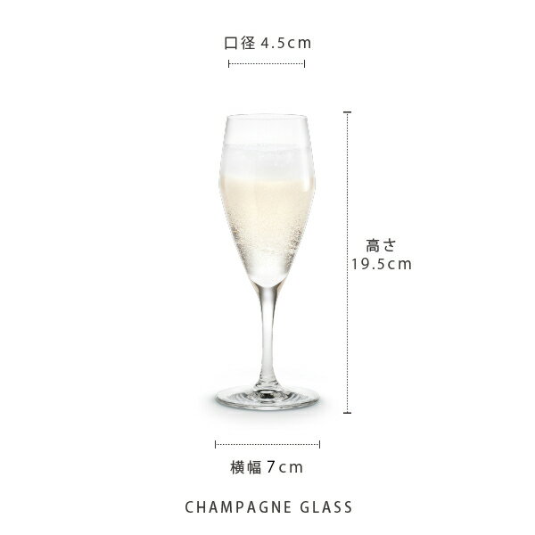 HOLMEGAARD / ホルムガード PerfectionCHAMPAGNE GLASS / シャンパングラス 125ml 6客セットデザイナー：TOM NYBROE / トム・ニーブロエ