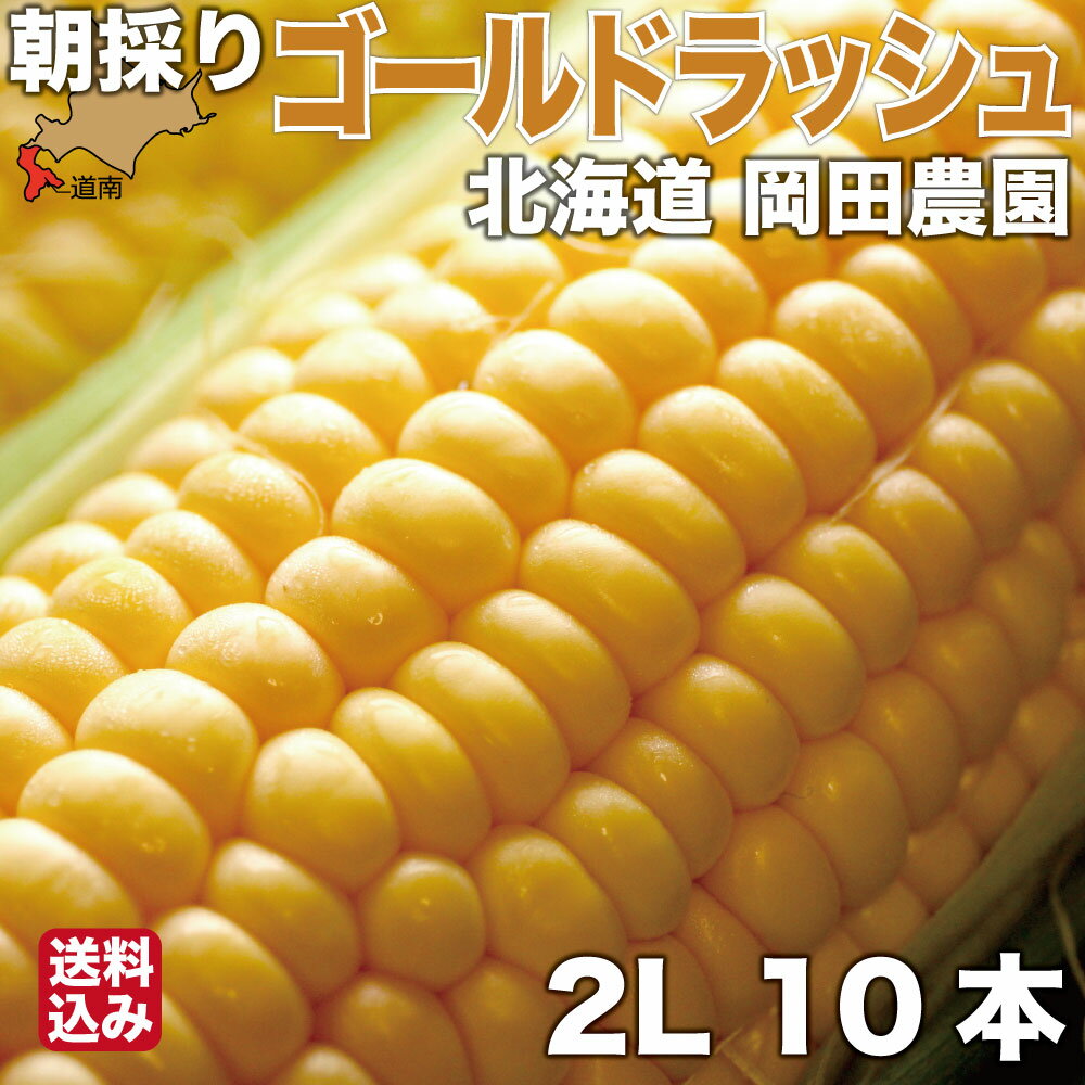 お買い物マラソン期間中ポイント+9倍 北海道最速級出荷 2024年予約開始 7月下旬より発送 とうもろこし 北海道産 ゴールドラッシュ 2Lサイズ × 10本 朝採り 産地直送 スイートコーン とうきび 七飯町 岡田農園