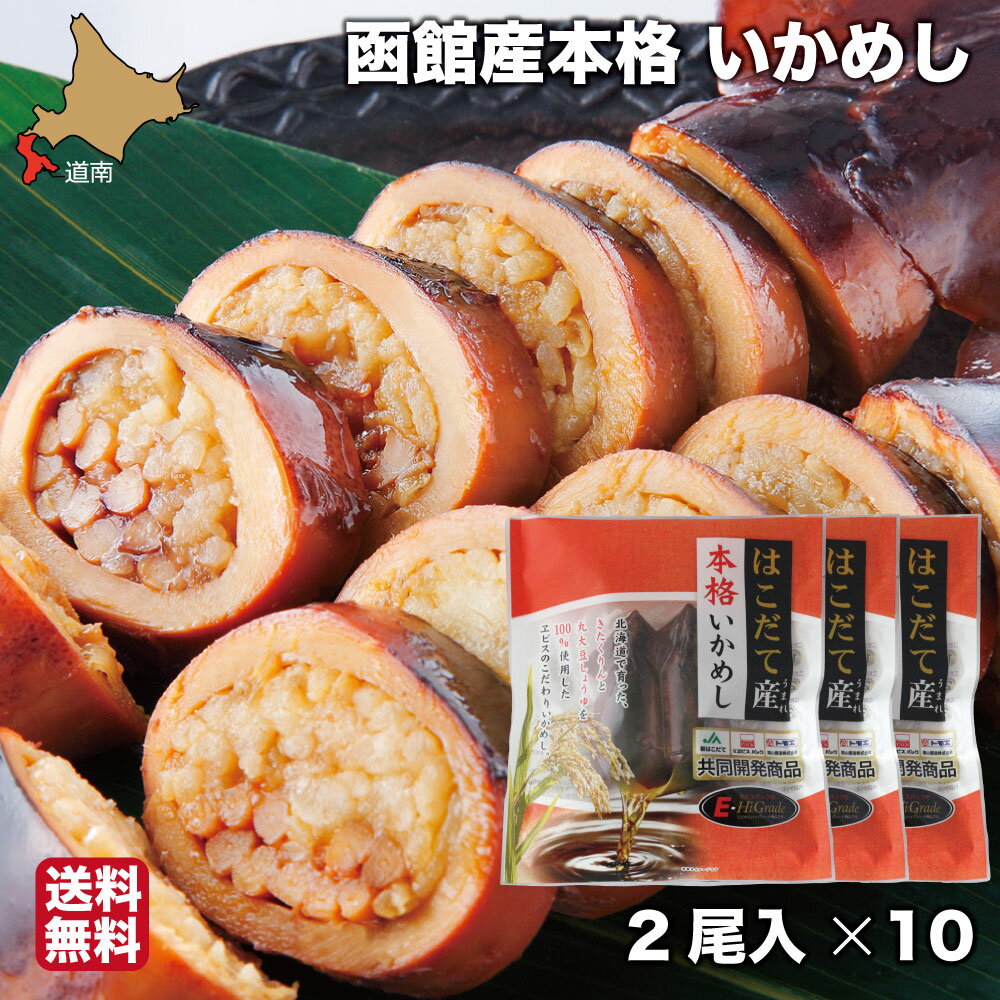 父の日 ギフト いかめし 函館 2尾入り×10 はこだて産本...