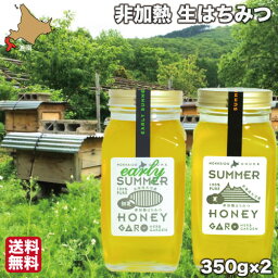 はちみつ 非加熱 国産 生蜂蜜 初夏 盛夏 350g×2 純粋 ハチミツ 北海道 大沼ガロハーブガーデン 送料無料