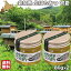 はちみつ 非加熱 国産 生蜂蜜 初夏 80g×2 純粋 ハチミツ 北海道 大沼ガロハーブガーデン 送料無料