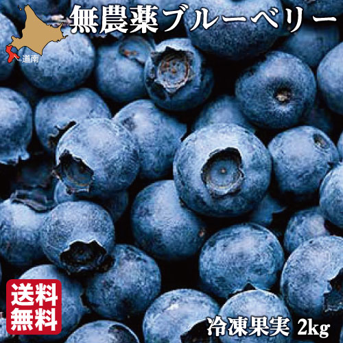 【P+2倍 19日20:00-26日1:59迄】 【予約開始 8月下旬より順次発送】 令和7年産 無農薬 冷凍 ブルーベリー 2kg 4種ブレンド 国産 自然栽培 原料 冷凍果 産地直送 ギフト ハウレット農園
