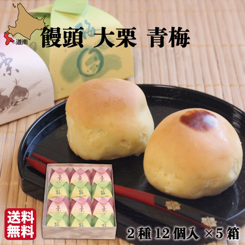 饅頭 大栗 青梅 12個(各6)×5箱 函館 菓々子(かかし) 北海道 和菓子 法事 おまとめ買い