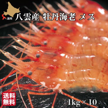 天然 ボタンエビ 10kg (1kgあたり30尾前後入×10箱) 北海道 噴火湾産 海老 冷凍 メス 八雲町 長谷川水産 ミノリ商事 送料無料