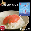 たらこ 北海道産 10kg(500g×20箱) 化粧箱入 ギフト 送料無料 噴火湾 真子 タラコ 長谷川水産 珍味 お土産 スケソウダラ お祝い 贈り物 業務用