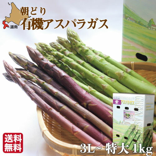 【エントリーでP10倍】 数量限定《予約受付》 ギフト アスパラ 北海道 1kg (3L-特大) 紫 グリーン 詰め合わせセット 取り寄せ JAS有機 無農薬 朝採り直送 送料無料 農園直送 産地直送 産直 アスパラガス 有機栽培 健康 農薬 化学肥料不使用 クール便 冷蔵