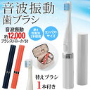 送料無料 ( メール便 ) 音波振動歯ブラシ 本体 替えブラ...