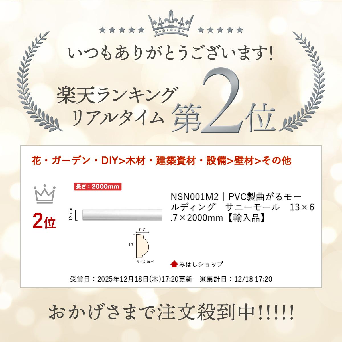 NSN001M2��PVC���ʤ���⡼��ǥ��󥰡����ˡ��⡼�롡13��6.7��2000mm��͢���ʡ�