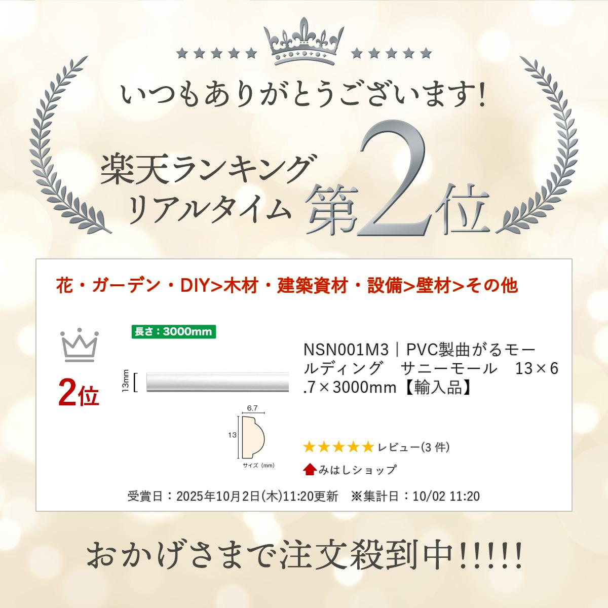 NSN001M3��PVC���ʤ���⡼��ǥ��󥰡����ˡ��⡼�롡13��6.7��3000mm��͢���ʡ�