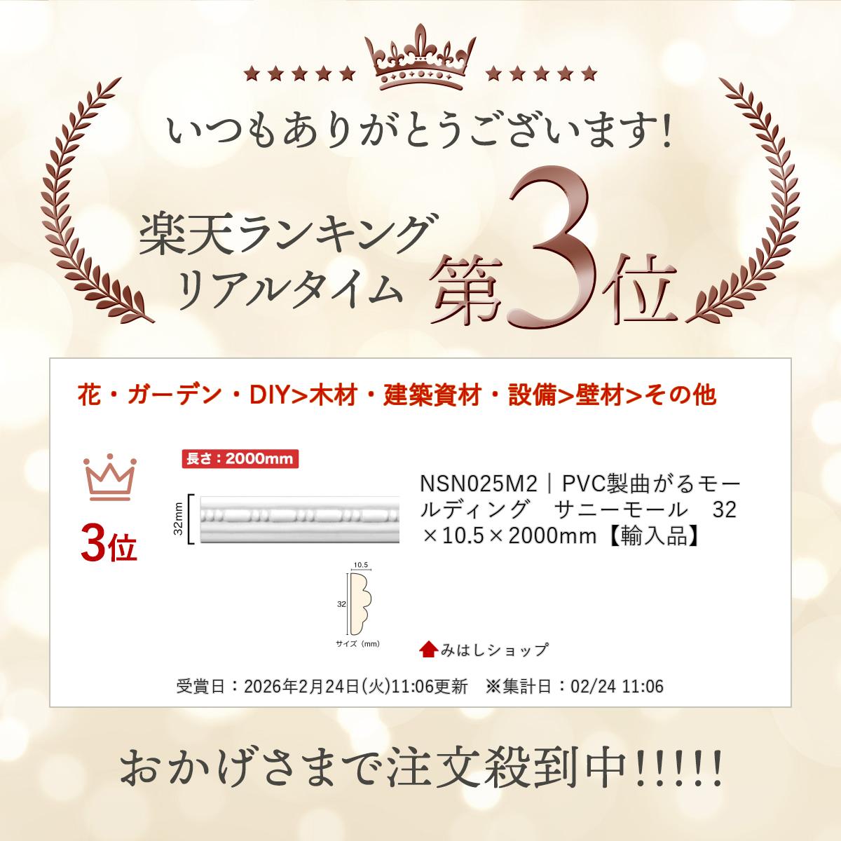 NSN025M2��PVC���ʤ���⡼��ǥ��󥰡����ˡ��⡼�롡32��10.5��2000mm��͢���ʡ�