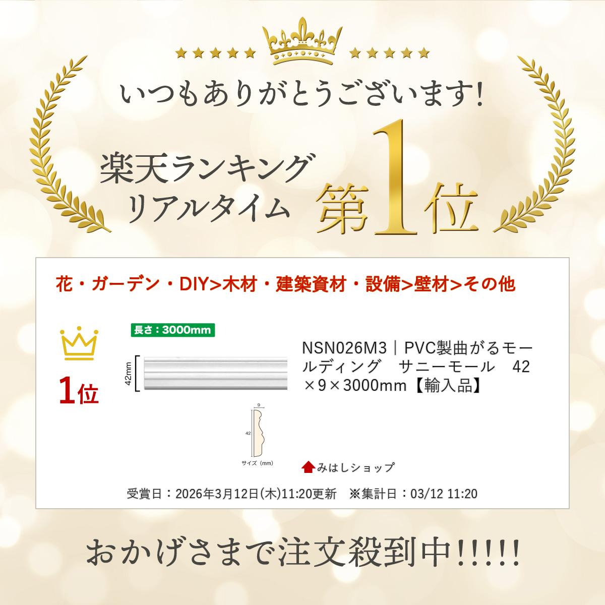 NSN026M3��PVC���ʤ���⡼��ǥ��󥰡����ˡ��⡼�롡42��9��3000mm��͢���ʡ�