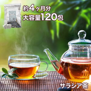 サラシア茶 2g×120包 大容量4ヶ月分 ノンカフェインで天然のサラシア茶を送料無料で！ダイエットやデトックスティーとして！コタラヒム茶としても知られています。 オーガニック ダイエット デトックス 天然 ボタニカル 紅茶 ティーバッグ