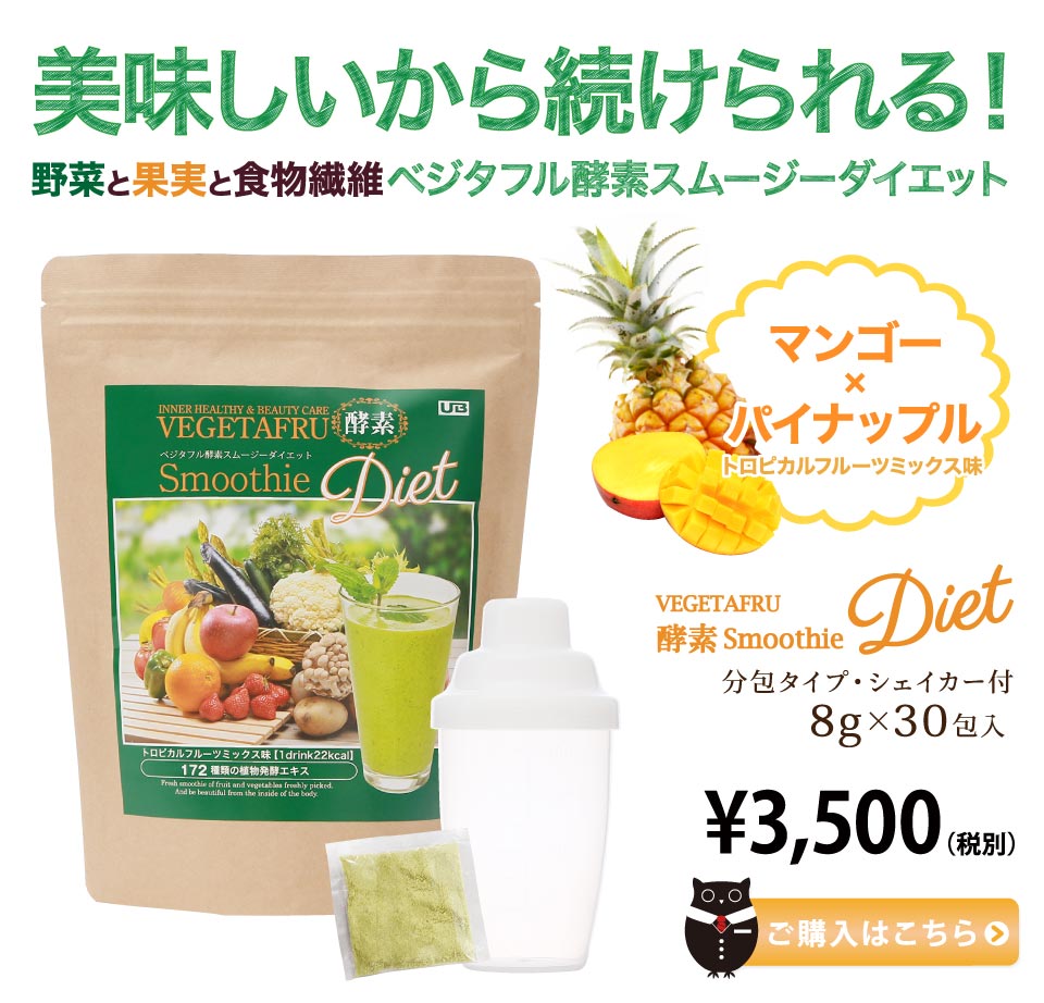 酵素スムージー（ボトル付） 172種類の植物酵素と乳酸菌、穀物麹を配合したグリーンスムージー♪粉末タイプでミキサー要らず！ダイエットやファスティングにぜひ♪