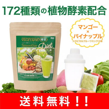 酵素スムージー（ボトル付） 172種類の植物酵素と乳酸菌、穀物麹を配合したグリーンスムージー♪粉末タイプでミキサー要らず！ダイエットやファスティングにぜひ♪