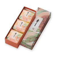 栗まる3個入【栗 あん お茶うけ 茶菓子 ギフト 茶道 和菓子 彩雲堂 出雲】