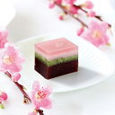 春限定 和菓子 花の雲 1棹桜 さくら スイーツ お菓子 ホワイトデー 桃の節句 卒業 入学 松江銘菓 和菓子 高級 お 取り寄せ 茶道 ギフト お菓子 島根 彩雲堂 松江