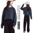 子供服 セットアップ 女の子 秋服 ジャージ 2点セット 上下セット 長袖 スウェットパーカー 長ズボン キッズ ダンス衣装 ヒップホップ トレーナー スポーツ...