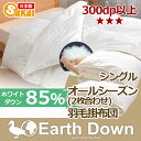 【日本製】アースダウン無地 ナチュラル羽毛 2枚合わせ掛け布団 シングルサイズニューゴールドラベル(TCNDS2)532P26Feb16【RCP】【smtb-kd】【羽毛布団 羽毛ふとん 掛布団 日本製 シングル 掛け布団 冬用 秋冬 羽毛掛け布団 かけふとん 】fs04gm