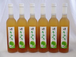 完熟梅の味わいと日本酒のうまみをたっぷりの梅リキュール　うめとろ　500ml×6本