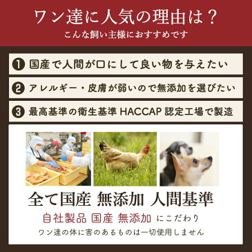 犬 おやつお得セット 6種 無添加 国産 ささみ 豚耳 ささみ レバー 軟骨 ドッグフード グレインフリー ジャーキー ガム 歯石除去 口臭 小型犬 中型犬 大型犬 シニア 詰め合わせ サリダリ 送料無料