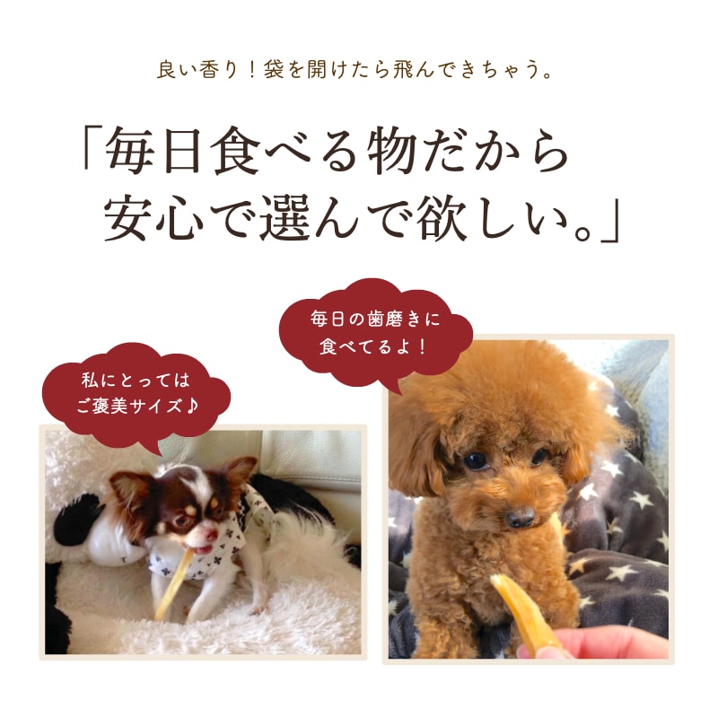 市場 犬 水炊き煮干し 無添加 オーシーファーム おやつ 市場 犬 水炊き煮干し 無添加 オーシーファーム おやつ