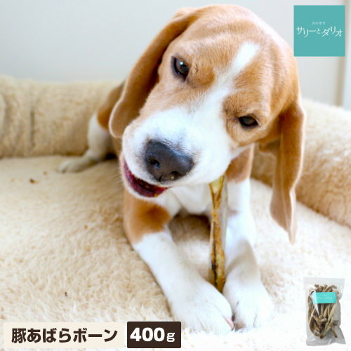 【5%クーポンお買い物マラソン】犬 