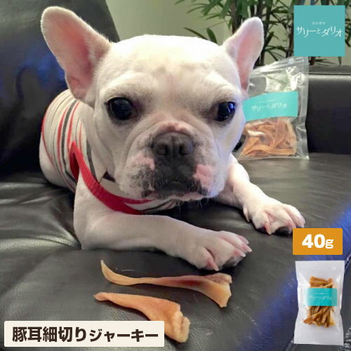 【5%クーポンお買い物マラソン】ドッグフード 犬 おやつ 無添加 国産 豚耳 カット 40g ぶたみみ スライス 細切り アレルギー 歯石除去 ..