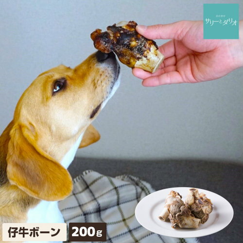 5%ݥ㤤ʪޥ饽۸  ̵ź  Ƶܡ 200g н м ᤭  㥫꡼ Ť Ĺ ȥ쥹...