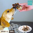 【5%クーポンお買い物マラソン】犬 