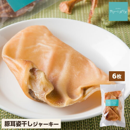 ڼ ̵ź    6 Ѵ ͤ碌 ֤ߤ ȴ ̵忧 㥫꡼   ӱ Х н ᤭  Ť Ĺ...