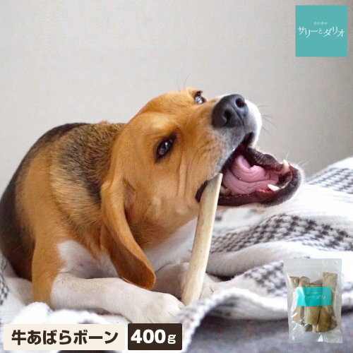 ルークラン BOKBOK ボクボク サメジャーキー 50g 犬猫用おやつ 無添加 無着色