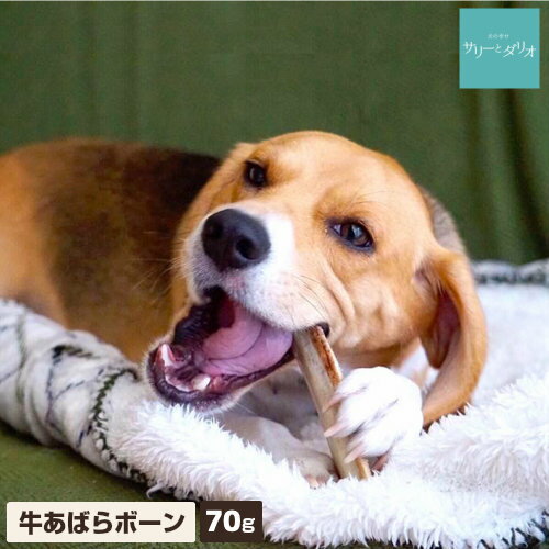 犬 おやつ 無添加 国産 牛あばらボ