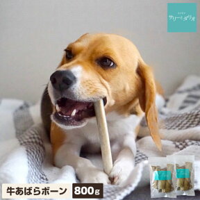 犬 おやつ 無添加 国産 牛あばらボーン 800g(400×2袋)アレルギー 歯石除去 口臭 ストレス発散 グレインフリー 硬い 骨 長持ち あばら骨 リブ ガム ドッグフード 小型犬 中型犬 大型犬 多頭飼い 業務用 サリダリ