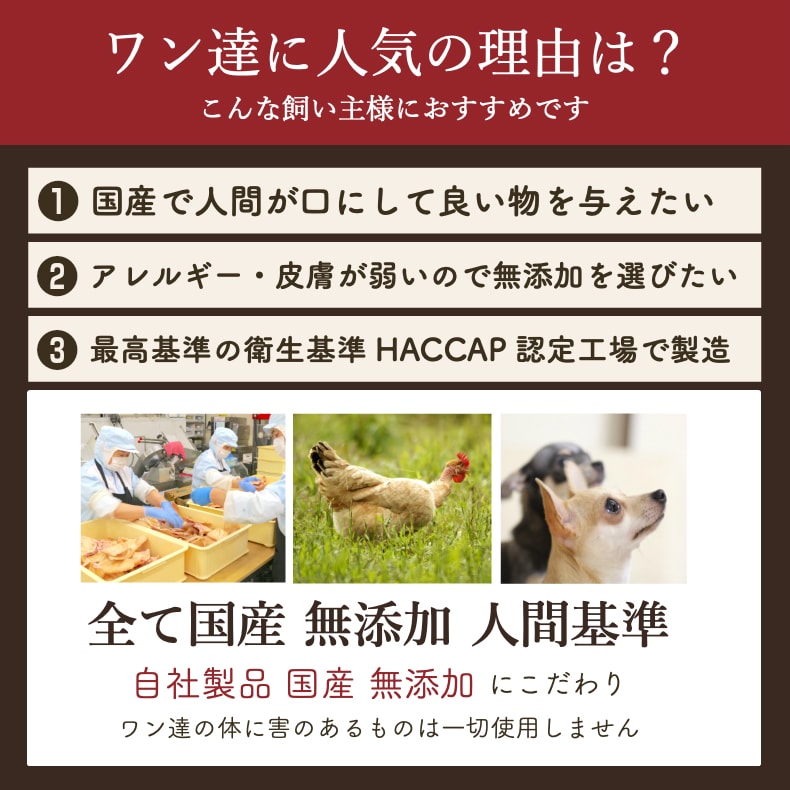 犬 おやつ 無添加 国産 豚ボーン 2本 おもちゃ 歯石除去 歯石取り 歯磨き 口臭 デンタルケア 大きい骨 硬い骨 ストレス発散 豚骨 豚の骨 小型犬 中型犬 大型犬 超大型犬 サリダリ 3