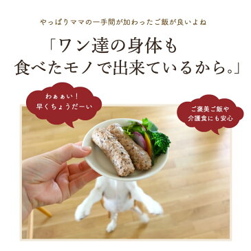【5%クーポン】ドッグフード アレルギー 無添加 国産 豚 ソーセージ 30袋 犬 おやつ グルテンフリー ウェットフード レトルト 手作りご飯 トッピング おやつ 豚レバー オメガ3 DHA EPA 小型犬 シニア 老犬 介護食 サリダリ 送料無料