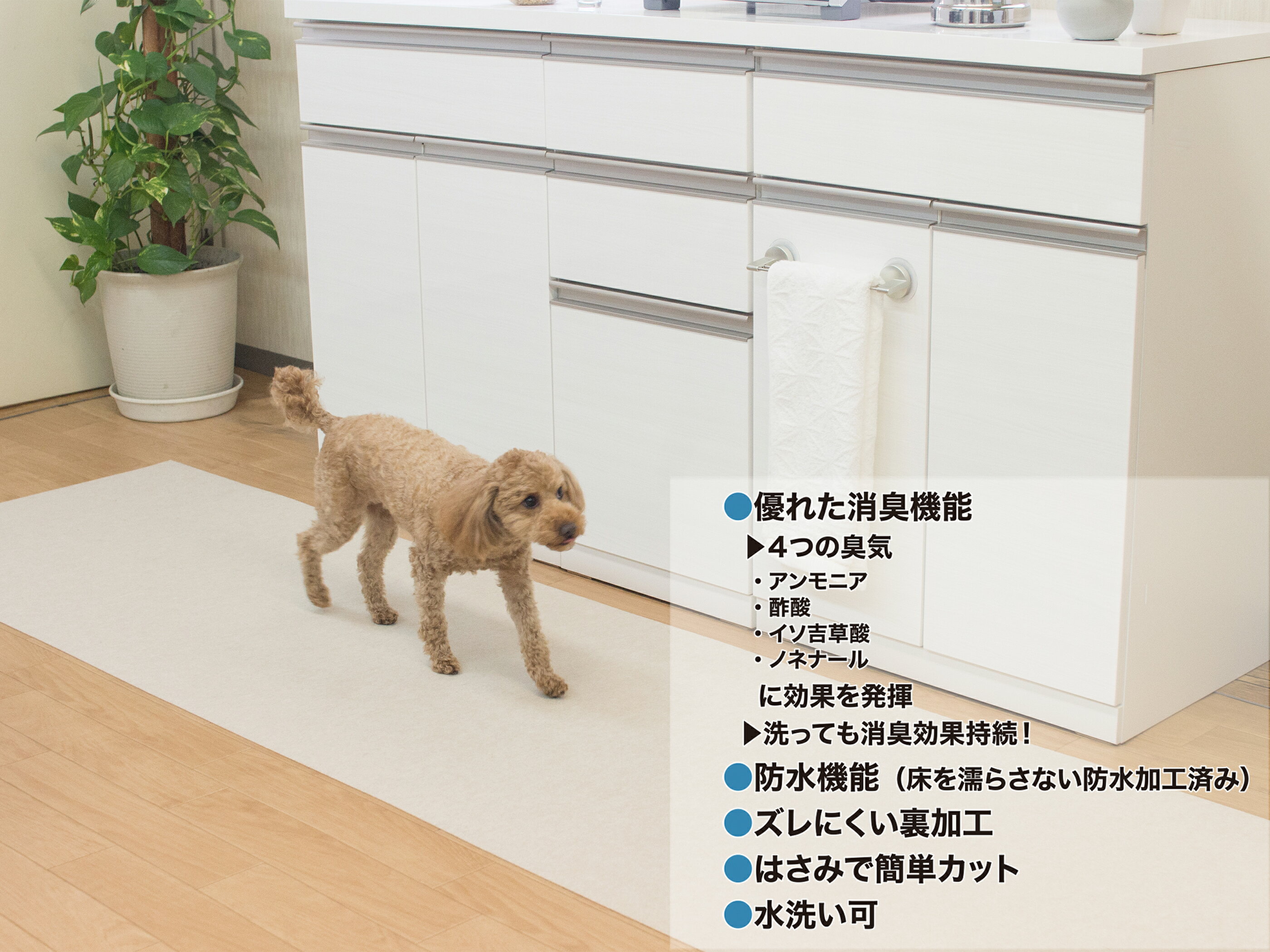 消臭マット 「キュートリー」 65cm×65cm 日本製|ペット 犬 猫 小型犬 中型犬 大型犬 老犬 老猫 介護 介助 シート ラグ 無地 ブラウン グリーン アイボリー フリーカット 防水 消臭 防滑