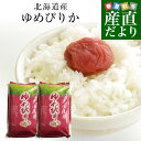 令和5年産 北海道産 ゆめぴりか 10キロ お米 北海道米 送料無料