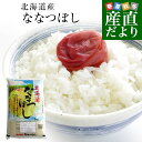 令和6年産 北海道産 ななつぼし 5キロ お米 北海道米 送料無料