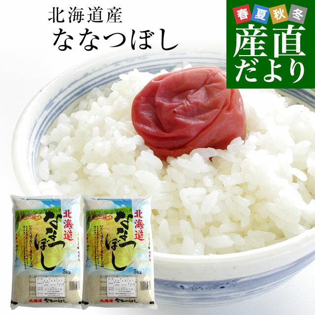 令和5年産 北海道産 ななつぼし 10キロ お米 北海道米