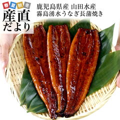 https://thumbnail.image.rakuten.co.jp/@0_gold/sanchokudayori/images/seafoods/eel09_0.jpg