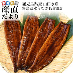 https://thumbnail.image.rakuten.co.jp/@0_gold/sanchokudayori/images/seafoods/eel19_0.jpg