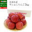 送料無料 青森県産 サンふじりんご 特秀品 Lサイズ 3キロ (10から12玉) ふじりんご ふじ 林檎