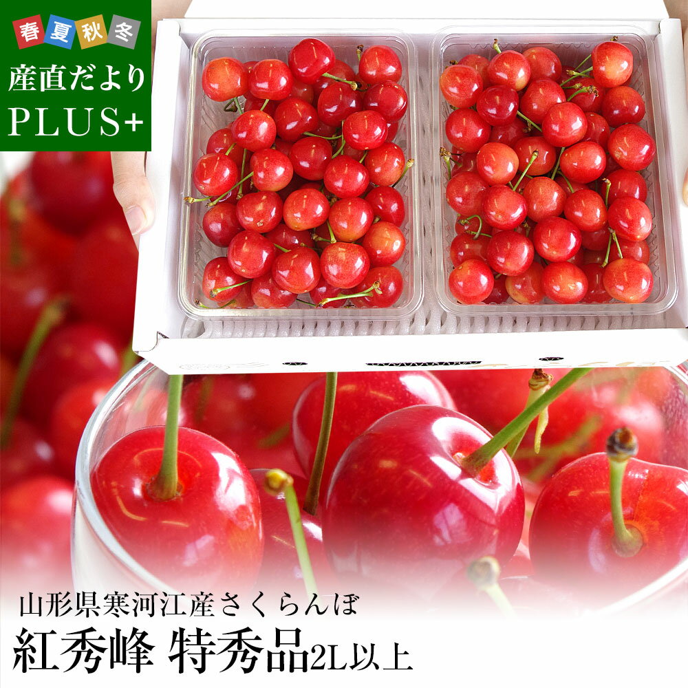 山形県より産地直送 山形県寒河江産さくらんぼ 紅秀峰 特秀品 約800g(400g×2) 特大3Lサイズ以上 お中元ギフト べにしゅうほう ※クール便のサムネイル