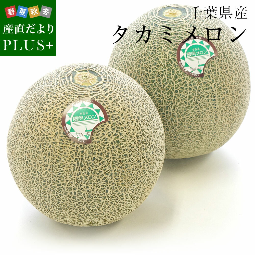 千葉県産 タカミメロン 特秀品 3Lサイズ 2.5キロ（2玉入り） 送料無料 青肉メロン 貴味メロンのサムネイル