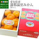 【予約商品】送料無料 愛知県産 蒲郡温室みかん Mサイズ 1...