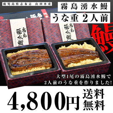 鹿児島県志布志 山田水産 霧島湧水鰻のうな重 （佐賀米夢しずく使用）2人前 送料無料 鰻 霧島湧水うなぎ ウナギ 鰻師 加藤尚武さん 山田の粋 ※クール冷凍便