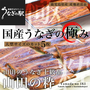 鹿児島県産　山田水産の極上国産うなぎ蒲焼「山田の粋（やまだのいき）」（大型サイズのカット真空80g×5枚）　送料無料　鰻蒲焼　ウナギ ※クール冷凍便