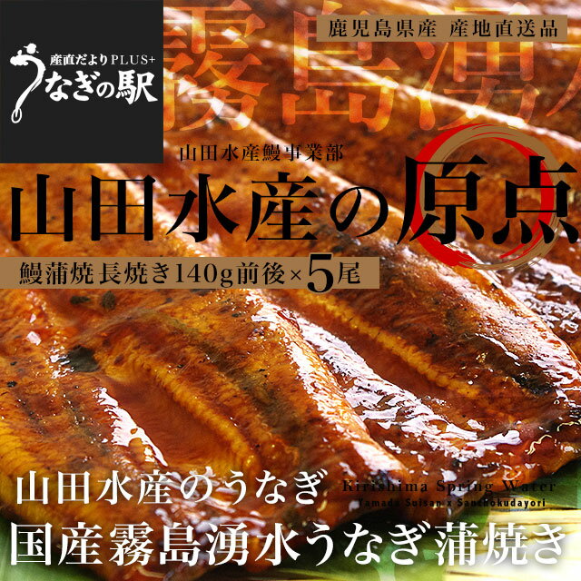 鹿児島県志布志産　山田水産　霧島湧水うなぎ　長蒲焼き　大サイズ5尾セット（140g前後×5尾）送料無料 鰻師 加藤尚武さん ギフト シーフード　化粧箱　　ギフト