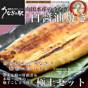 鹿児島県志布志産 山田のうなぎ白醤油焼きセット「白醤油焼き160g前後×3尾」＋「鰻の肝佃煮40g」＋「柚子こしょう3P」送料無料 鰻師 加藤尚武さん ウナギ 白醤油 肝 佃煮 クール冷凍便 ギフト 2